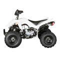 ATV quad bike 110cc for kids (FA-E110)